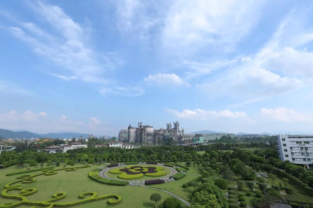 香港免费马资料最准的网站