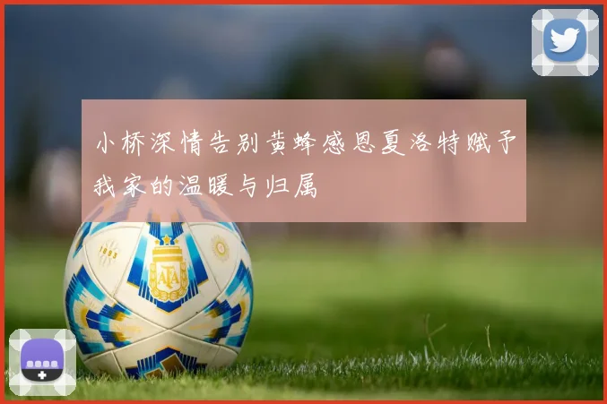 小桥深情告别黄蜂感恩夏洛特赋予我家的温暖与归属
